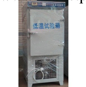 DW-40型 低溫試驗箱（立式）（室溫到-40）（-25度可選）零下40度工廠,批發,進口,代購