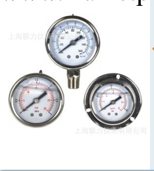【優秀品質】上海耐震壓力表 可定制耐震壓力表 不銹鋼耐震壓力表工廠,批發,進口,代購