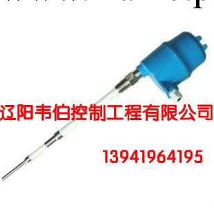 AMETEK射頻導納物位計 DE502-3200-905工廠,批發,進口,代購