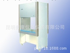 蘇州凈化二級生物安全櫃BHC-1300IIA/B2工廠,批發,進口,代購
