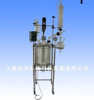 廠傢直銷雙層玻璃反應釜 S212-30L工廠,批發,進口,代購