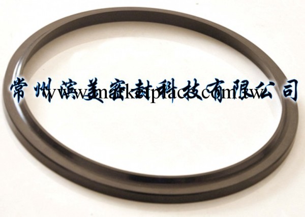 進口PTFE+銅粉防塵圈工廠,批發,進口,代購