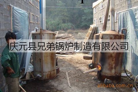 供應滅菌鍋爐 立式滅菌鍋爐（圖）工廠,批發,進口,代購