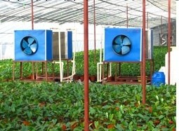 供應高檔花卉暖風系統 花卉專用采暖設備工廠,批發,進口,代購