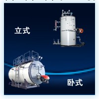 供應CWNS-Q燃氣熱水鍋爐工廠,批發,進口,代購