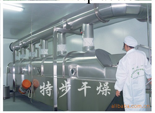 供應:雞精生產線專用設備——振動流化床---特步乾燥工廠,批發,進口,代購