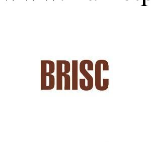 BRISC佈裡斯克電磁盤390*390工廠,批發,進口,代購