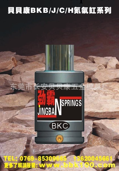 BKB1.70-010-070 標準氮氣彈簧工廠,批發,進口,代購