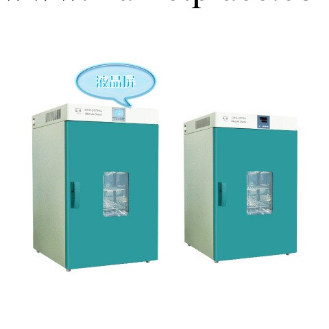 300度立式電熱恒溫鼓風烤箱DHG-9420B 烤箱 工業烤箱 恒溫烤箱工廠,批發,進口,代購
