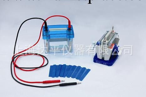 批發供應北京六一迷你雙垂直電泳機電泳槽（小號）DYCZ-24DN型工廠,批發,進口,代購