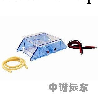 火熱促銷 DNA回收電泳機工廠,批發,進口,代購