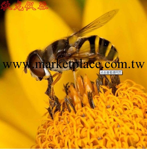 蜂花粉︱蜂產品制品類QS認證檢驗設備 全套供應工廠,批發,進口,代購