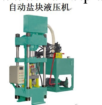 供應鑫源液壓舔鹽塊壓塊機 圖片O創新設備城口供應工廠,批發,進口,代購