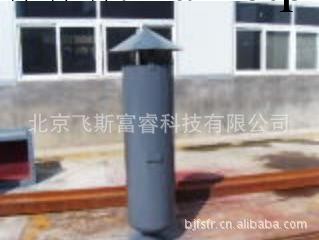 氧氣放空消聲器  飛斯富睿  F10189工廠,批發,進口,代購