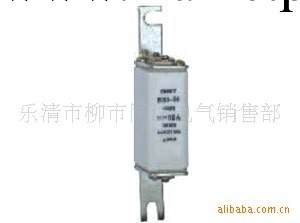 RS3-50A快速熔斷器(體)500V工廠,批發,進口,代購