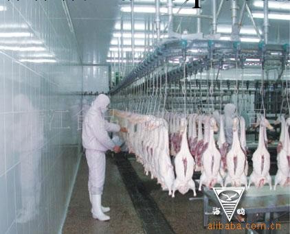 供應傢禽屠宰生產線工廠,批發,進口,代購