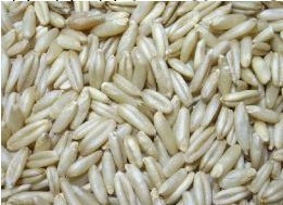 河北省廠傢供應碾米機 小米蕎麥碾米機 2014碾米機的最新行情工廠,批發,進口,代購