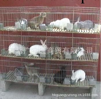 兔籠廠傢批發供應優質兔籠 商品兔籠 子母兔籠 養殖兔籠 兔籠設備工廠,批發,進口,代購