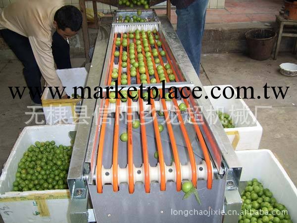 水果篩選機分類機篩果機尋代理商工廠,批發,進口,代購