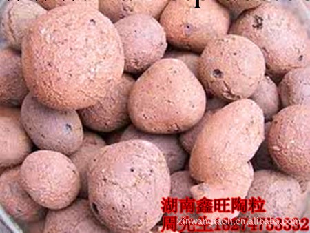 湖南廠傢專業生產 陶粒 高品質陶粒 全網銷售工廠,批發,進口,代購