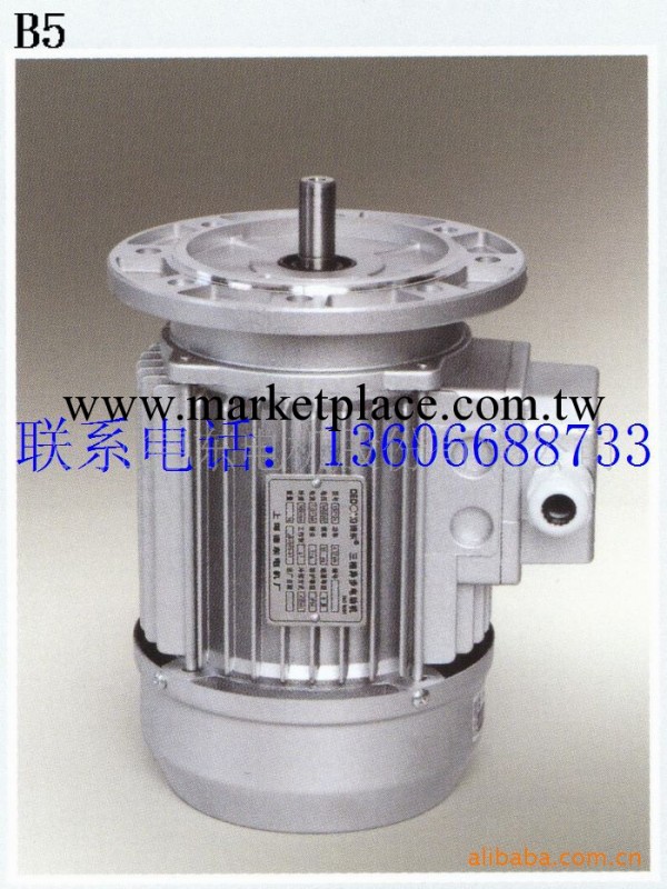 廠傢直銷優質德東電機YS5614（0.06KW）小功率三相鋁殼電動機工廠,批發,進口,代購