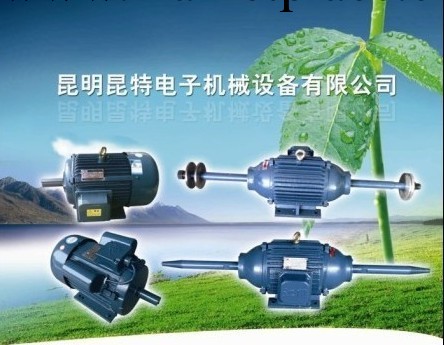 本廠傢專業研發制造YD112   3.3/4KW4/2級雙速拋光機%銅線芯工廠,批發,進口,代購