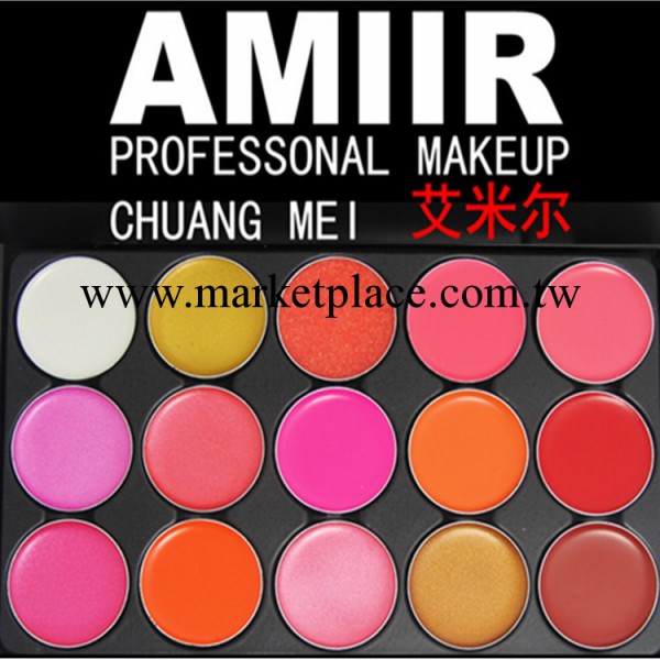 AMIIR艾米爾15色唇彩盤板專業彩妝正品JHC口紅板盤/批發工廠,批發,進口,代購