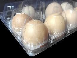 供應雞蛋托包裝吸塑工廠,批發,進口,代購