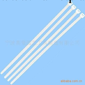 供應優質 日本出口型 紮帶批發・進口・工廠・代買・代購