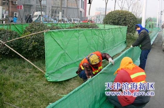 天津樹木防寒佈報價，天津防寒佈規格，天津苗木防寒佈工廠,批發,進口,代購