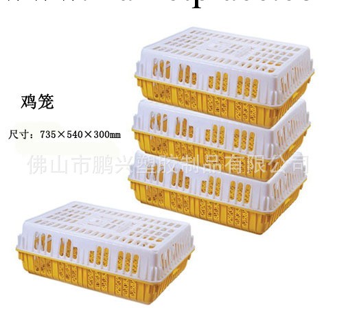 黃白色塑料雞籠最新報價 歡迎咨詢訂購工廠,批發,進口,代購
