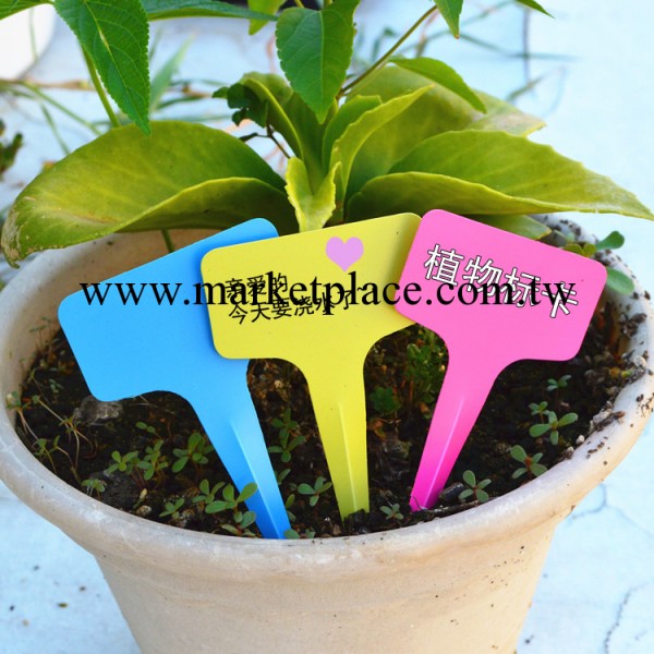 上海植物標卡 植物花卉標簽標卡 T型園藝塑料標簽標牌工廠,批發,進口,代購