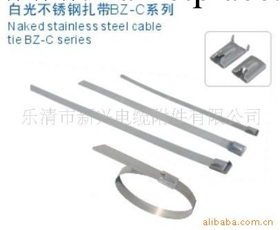 供應白光不銹鋼紮帶（鋼珠自鎖BZ-C）工廠,批發,進口,代購