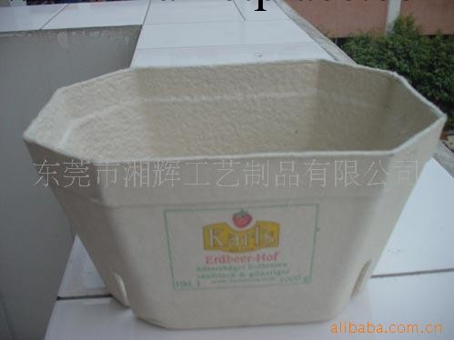 環保的果品工業制品的紙漿包裝批發・進口・工廠・代買・代購