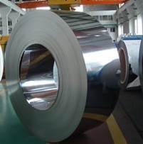 廣東SUS301鋼帶，汕尾SUS301鋼帶，汕頭SUS301鋼帶工廠,批發,進口,代購