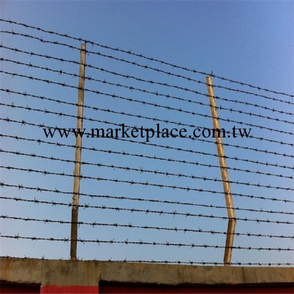 北京 廠傢供應 大量  鍍鋅刺繩  鐵絲網 可定做工廠,批發,進口,代購