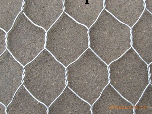 鍍鋅六角網電鍍鋅六角網、熱鍍鋅六角網、黑鐵絲六角網工廠,批發,進口,代購