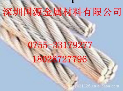 供應316L不銹鋼鋼絲繩 包膠鋼絲繩 塗塑鋼絲繩工廠,批發,進口,代購