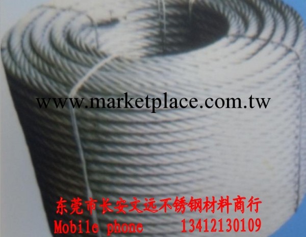 供應優質304 316塗塑鋼絲繩 包膠鋼絲繩 不銹鋼鋼絲繩工廠,批發,進口,代購