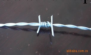廠傢直銷  鍍鋅刺繩 塗塑刺繩 防護刺繩 刺絲刺繩工廠,批發,進口,代購