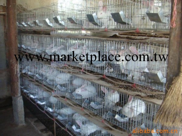 子母兔籠、商品兔籠、兔籠配件、無底兔籠、9位12位24位兔籠工廠,批發,進口,代購