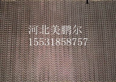 【河北】廠傢生產復合型不銹鋼網帶批發・進口・工廠・代買・代購