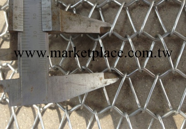 不銹鋼網鏈 鏈條式網帶 廠傢供應合理的價位工廠,批發,進口,代購