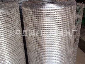 安平優質不銹鋼電焊網供應 各種專業大型不銹鋼電焊網工廠,批發,進口,代購