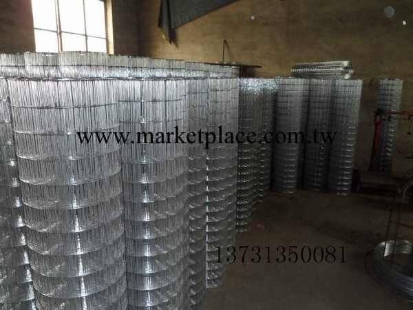 供應  各種規格電焊網  荷蘭網 鍍鋅電焊網 3/4電焊網工廠,批發,進口,代購
