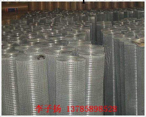 供應電焊網 高質量各種電焊網規格  可按客戶要求訂做  品質保障工廠,批發,進口,代購