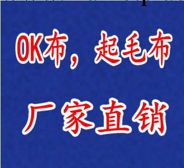 廠傢直銷尼龍起毛佈，滌綸起毛佈工廠,批發,進口,代購