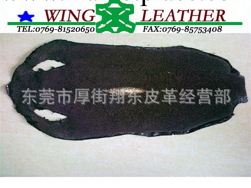 供應優質珍珠魚皮(魔鬼魚皮)TE101工廠,批發,進口,代購