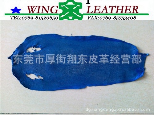 供應優質打磨珍珠魚皮(魔鬼魚)Te201工廠,批發,進口,代購