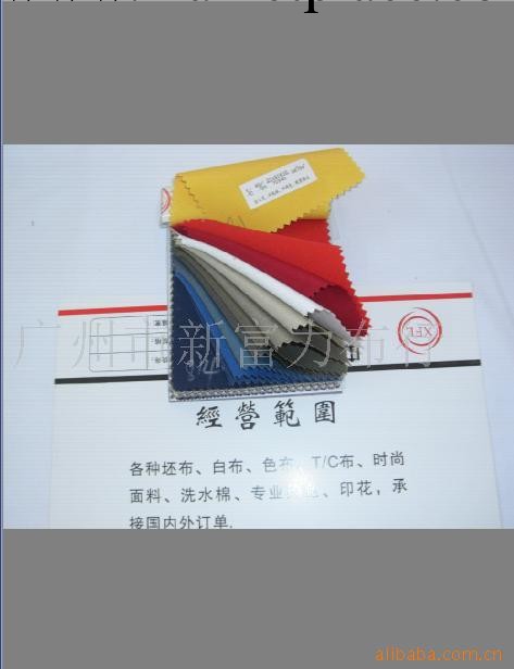 供應T/C80/20滌棉珠帆麵料工廠,批發,進口,代購
